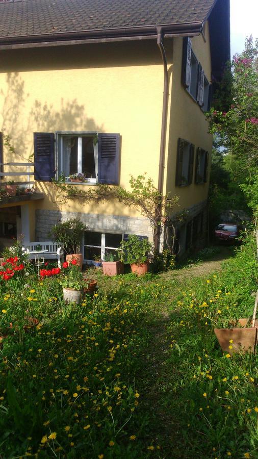 B&B Am Park Райнфелден Екстериор снимка
