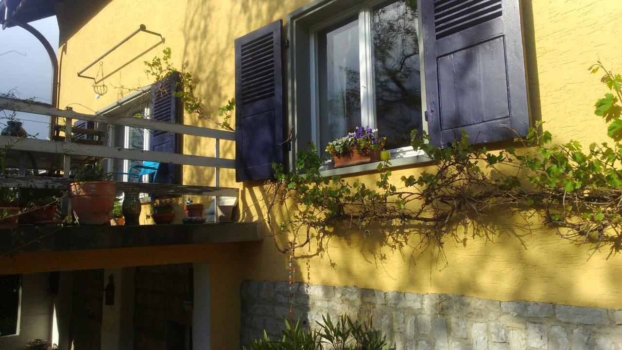 B&B Am Park Райнфелден Екстериор снимка