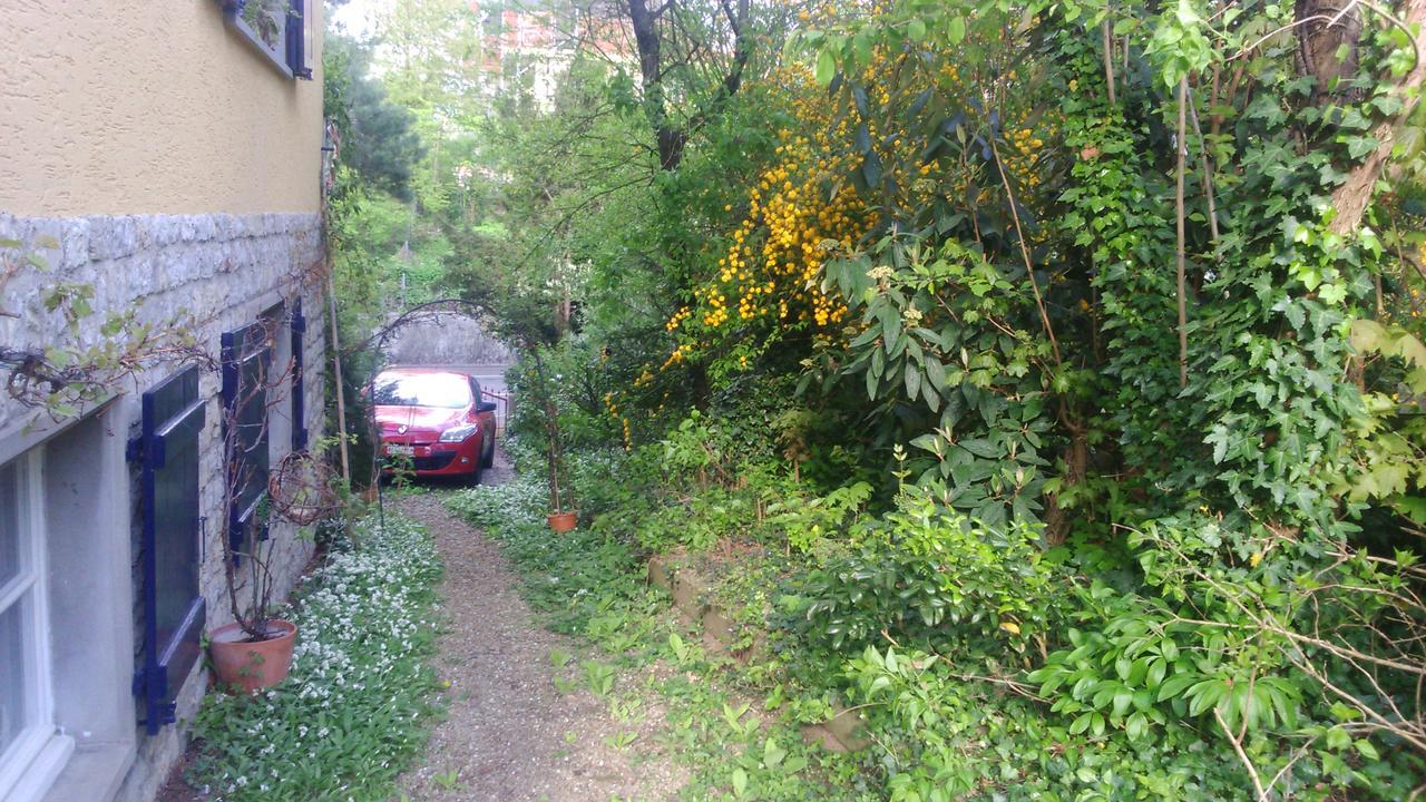 B&B Am Park Райнфелден Екстериор снимка