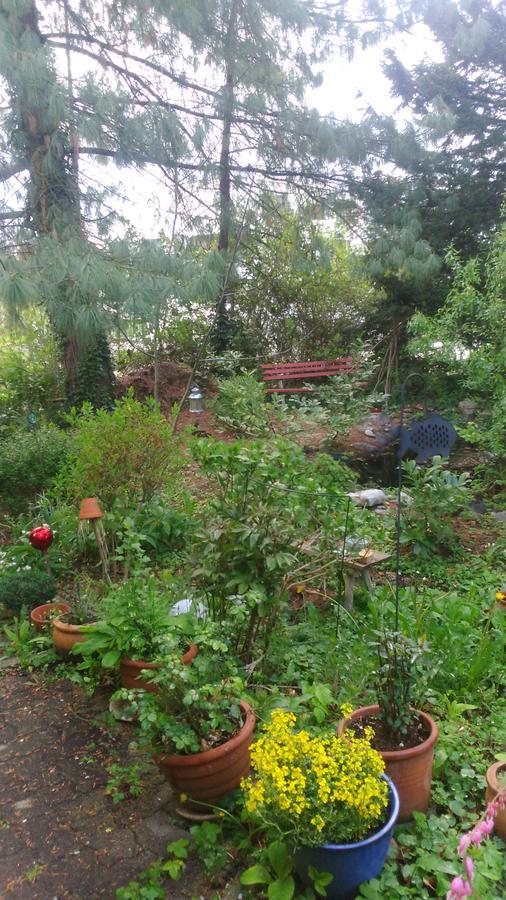 B&B Am Park Райнфелден Екстериор снимка